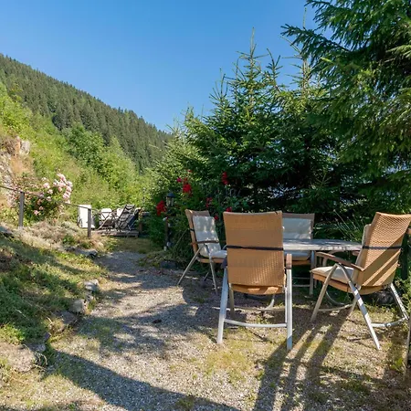 Huette Taube *